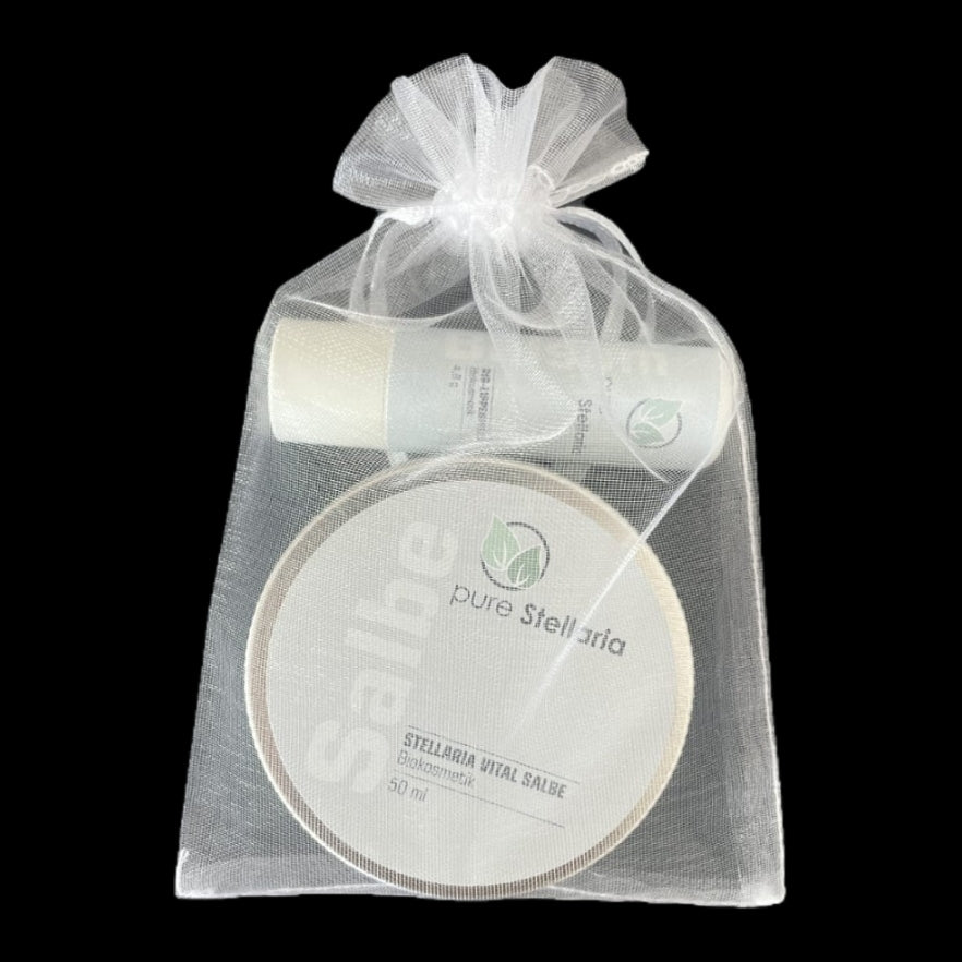 Stellaria Pflegeset für Feuchtigkeit Small (Salbe & Lippenpflege)