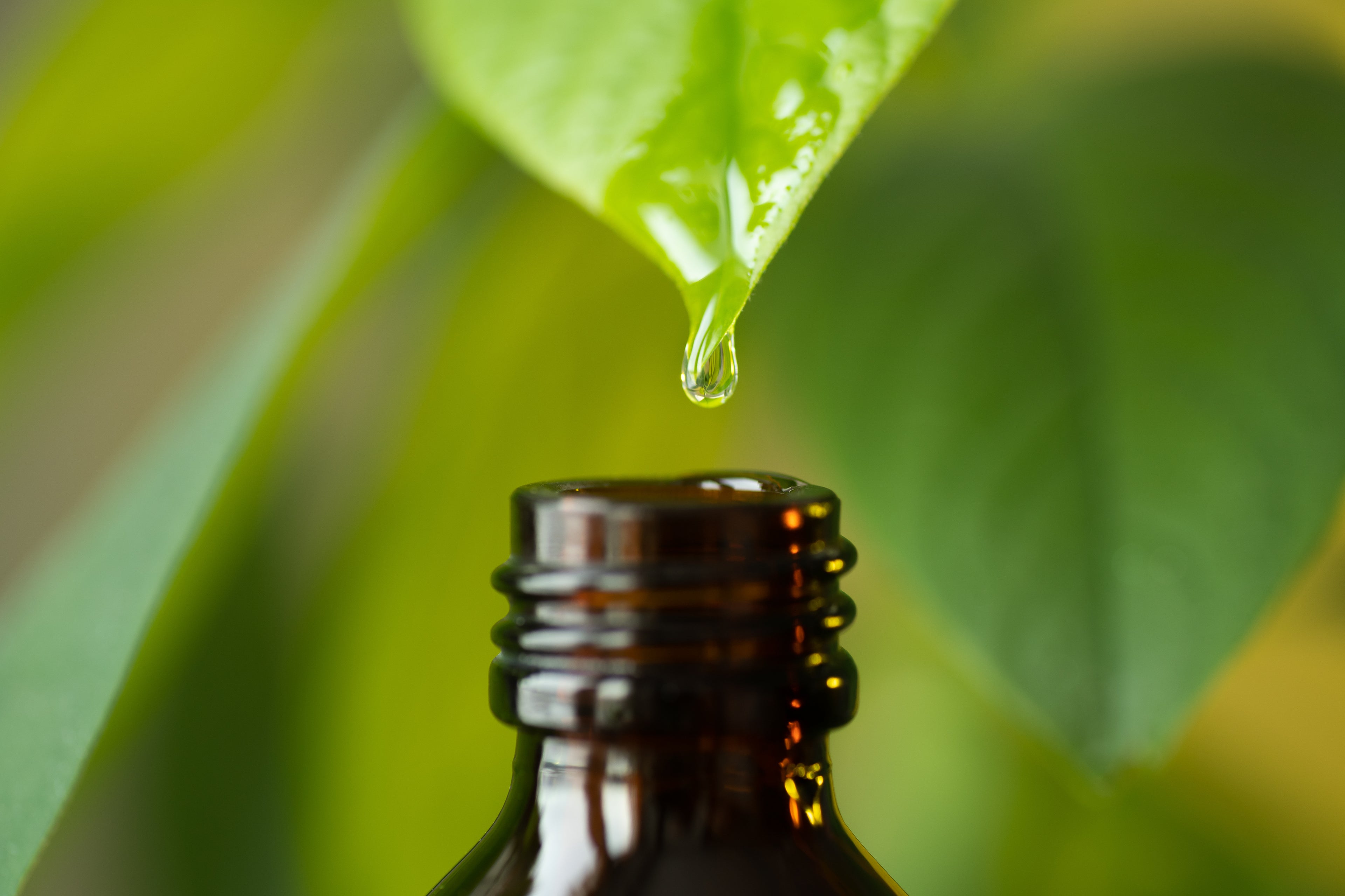 Stellaria Duschlotion & Shampoo