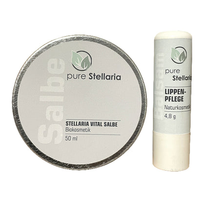 Stellaria Pflegeset für Feuchtigkeit Small (Salbe &amp; Lippenpflege)