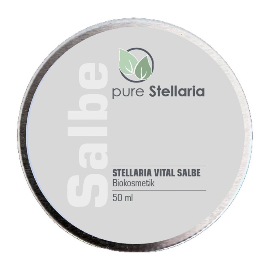 Stellaria Pflegeset für Feuchtigkeit Small (Salbe &amp; Lippenpflege)